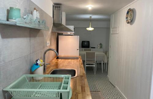 Melro-d' água - Foto 26