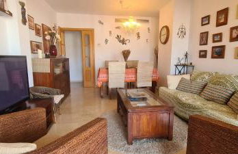 The Salamadras - Photo 11