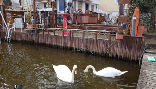 Dachgeschosswohnung im Haus am See von Berlin - Foto 4