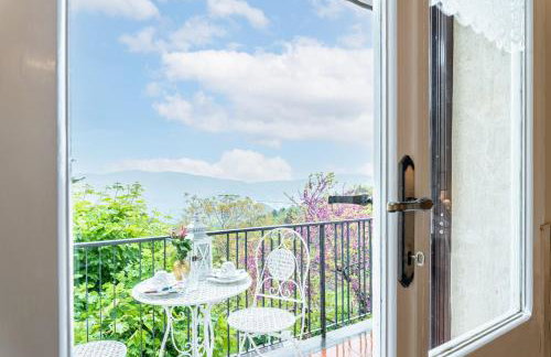 Sassi Scritti - Acero Montano - Photo 8