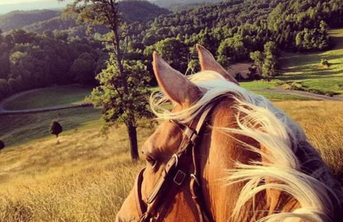 Estrella rural casa rural en la Sierra de Madrid - Foto 55