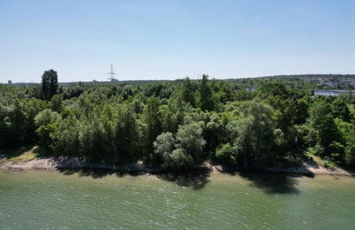 Ferienhaus Budenheim - Foto 40