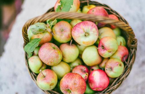 Holiday Home Margherita by Interhome - Foto 11