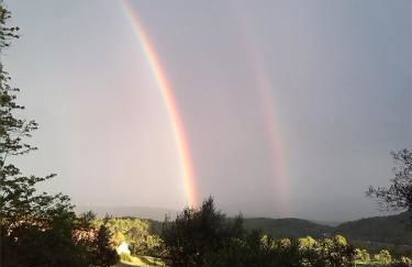 Agriturismo Villa Buoninsegna - Foto 16