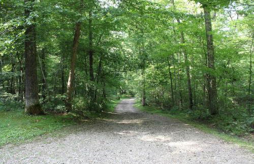 Bear Hollow - Foto 22