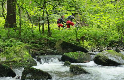 Ferienvermietung Engelstädter - Foto 16
