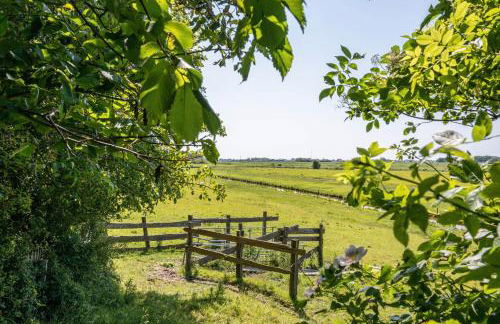 Fewo Silke Dethlefsen - Foto 15