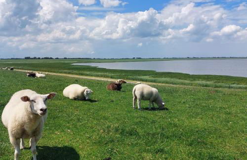 Ferienhaus Hygge4 - Foto 20