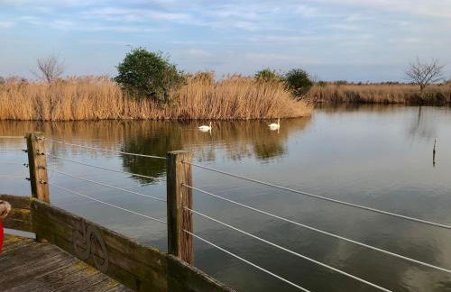 Appartement Yucca au calme proche de la mer - Foto 11