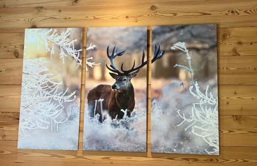 Chalet des Jonquilles - Au calme, bordant la forêt - Foto 27