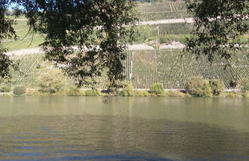 FeWo Sonnenlay - Apartments an der Mosel - Foto 18