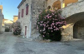 Gîte le Couradou - le domaine du viticulteur - Foto 2
