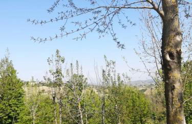 Casa in campagna oltrepo' pavese - Foto 37