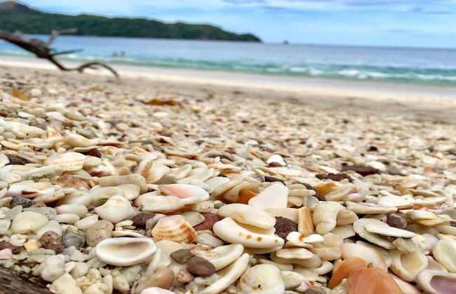 Recently Renovated Luxury Condo with Resort-Style Beach Club Access and Ocean Views - Photo 36