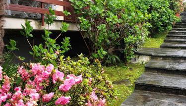 Residenza vista lago mozzafiato - Photo 5, Garden