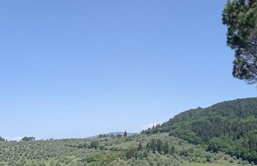 LA GUELFA 64 - Foto 12