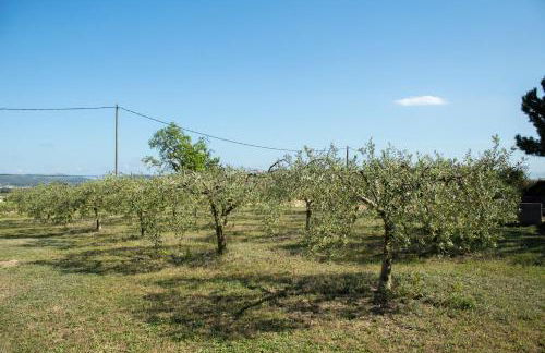 Romegosa Benestar - Foto 42