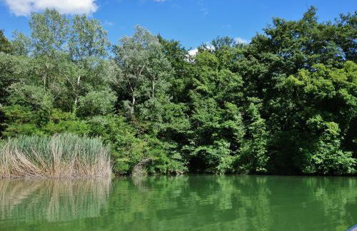 Agriturismo Monterosello - Photo 11