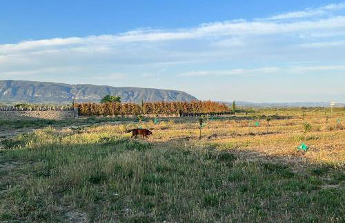 Village house of Jean - Photo 23