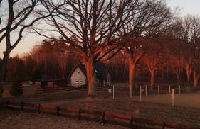 Pod Dębem - Foto 25