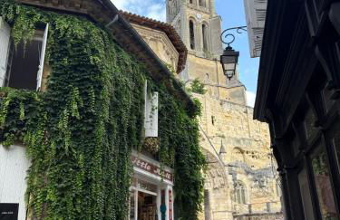 Les logis des Vignobles Sainte Emilion en Duplex n 3 avec terrasse - Foto 26