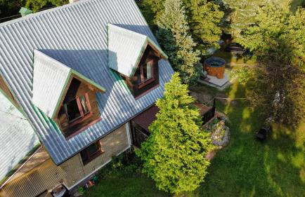 Rzeka i las - Photo 36