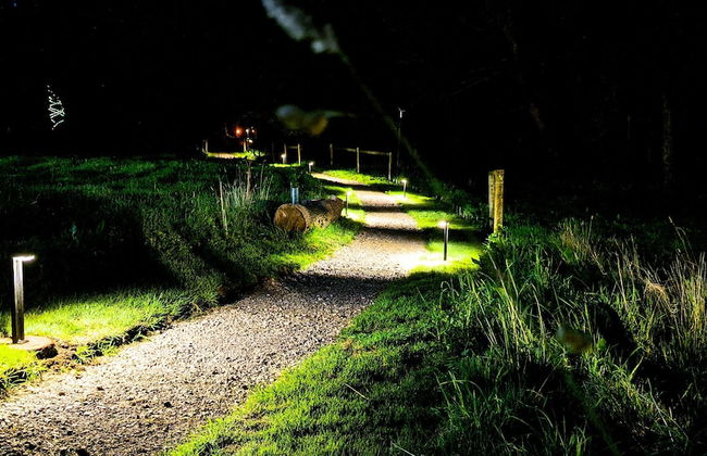 Emlyn's Coppice - Woodland Glamping - Foto 46