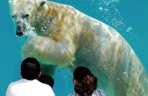 Art Downtown Fulton Market Entire 3 bedroom Home Sleep10 Private Garage Roof EV Tesla - Foto 33