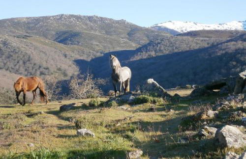 Casa Sebastiana - Foto 55