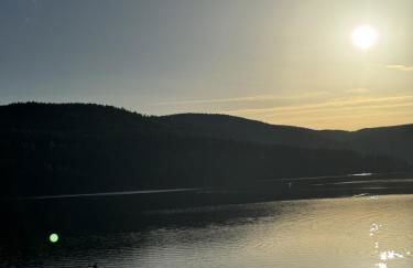 SchwarzwaldNest am See - Foto 20