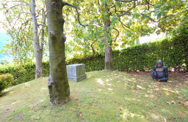 Villa Oliveto with Pool and Lake view - Photo 49