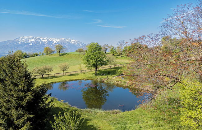 Eco Farm Mikl Pine Tree Apartment - Foto 11