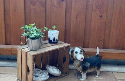 Ferienwohnungen Koch - Foto 23