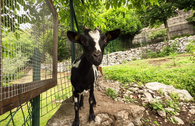 Villa Margherita - Foto 22