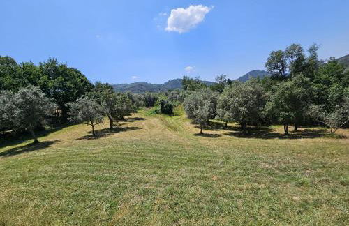 Casa Toupeira - Foto 6