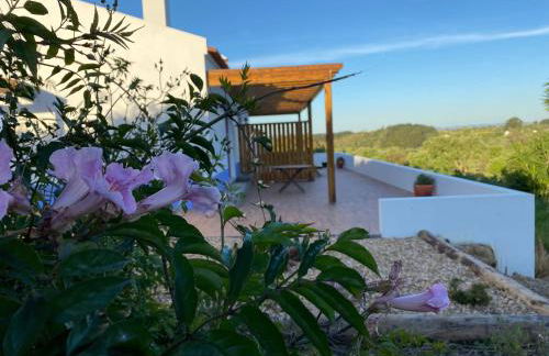 Monte da Caniveta - Casa do Avô - Foto 23