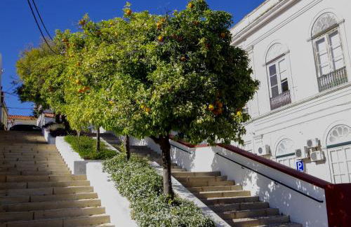 Casa Margarida Azul - Photo 36