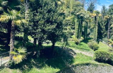 CAPI SUITE - Foto 17