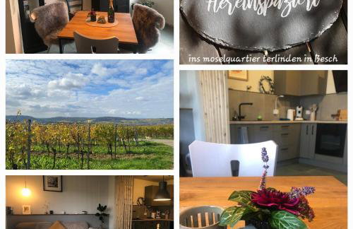 moselquartier terlinden- Apartment - Foto 16