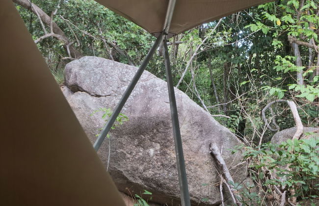 Magnetic Glamping - Foto 62