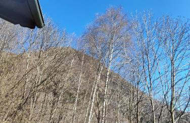 Baita Carlito - Foto 34