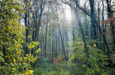 Ruhiges Häuschen am Wald mit Kamin, Terrasse - Foto 27