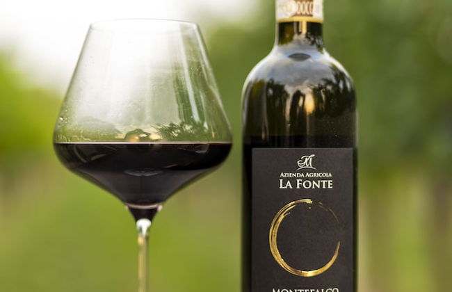 Agriturismo La Fonte - Photo 46