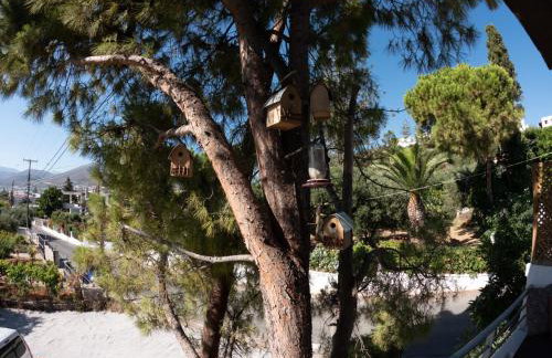 Tea & Sea Apts - Foto 11