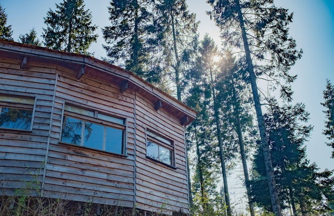 Bamff Ecotourism - Foto 35