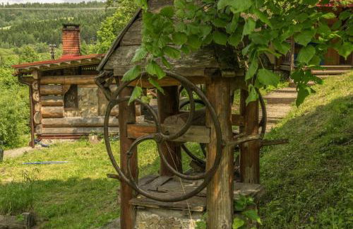 Kałamunka - Foto 72