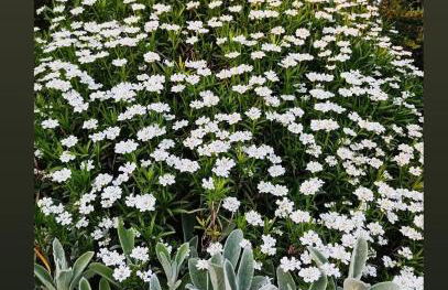 L'écureuil parisien Maison de charme avec jardin proche Paris - Foto 26