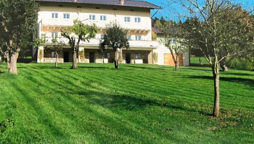 Villa in Bayern nahe Skiloipen & Sauna - Foto 4, Garden