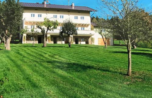 Villa in Bayern nahe Skiloipen & Sauna - Photo 4