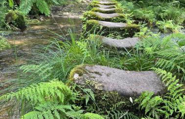 Casa da Rapadoira - Foto 49